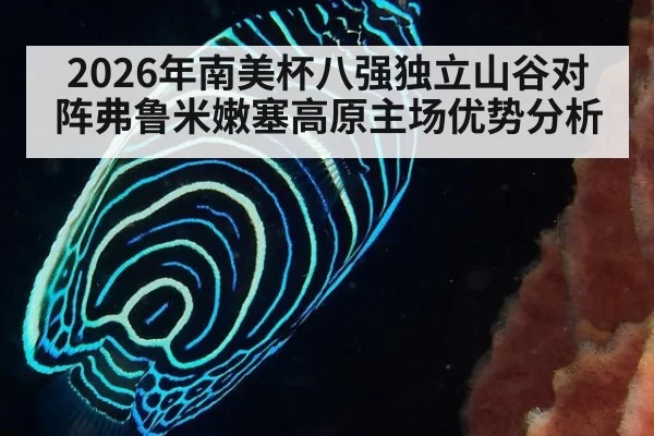 2026年南美杯八强独立山谷对阵弗鲁米嫩塞高原主场优势分析